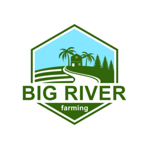 Logo Design by dmtrgor1