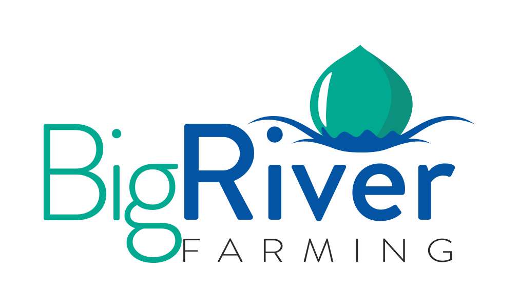 Logo Design by mildelfina for this project | Design #23032669