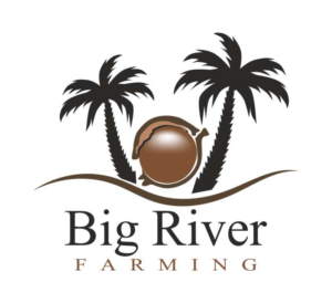 Logo Design by mildelfina