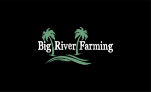 Logo Design by umar 16 for this project | Design: #23002895