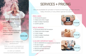 Brochure design for 3D ultrasound company  | Flyer Design by elveneclipse