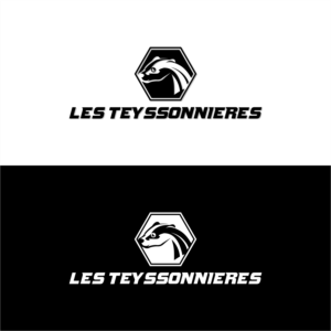 Les Teyssonnieres | Logo Design by tejo