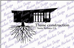 Logo Design by mexicanhairlessdesign