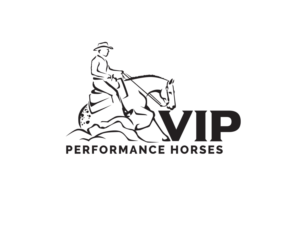 Logo Design by Painted Pony Studios