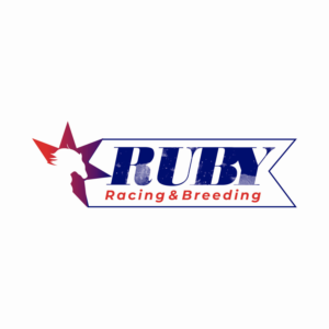 Logo Design by Grafrika for Ruby Racing and Breeding  | Design #23028864