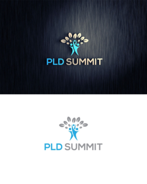 PLD Summit | Logo Design by madeline 3