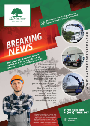 Flyer / marketing email used to solicate work for specialized tree removal equipment.   | Flyer-Design von HeshanKavinda