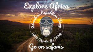 Graphic Design by design.bb