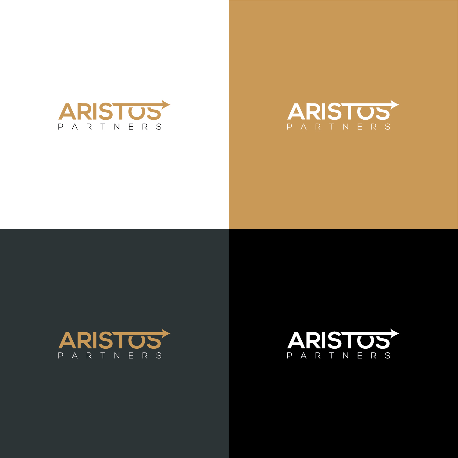Logo Design by Muhammad Imran 3 for this project | Design #23024151