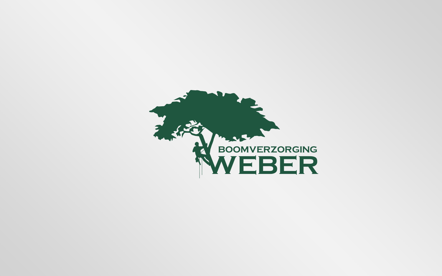 Logo-Design von MT für dieses Projekt | Design #23030883