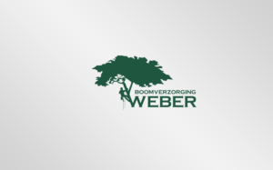 Logo Design by MT