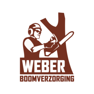 Logo Design by dmtrgor1 for this project | Design #23031711