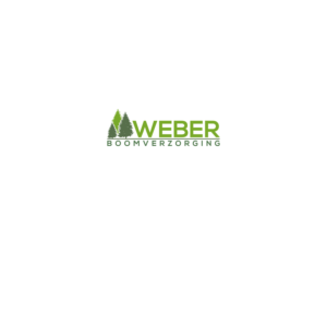 Design de Logo par DesignDUO pour ce projet | Design : #23035764