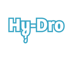 Logo Design by DanDamDesign