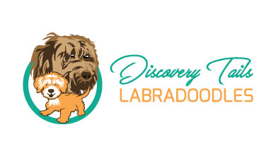 Logo Design by XZen for this project | Design #23104921