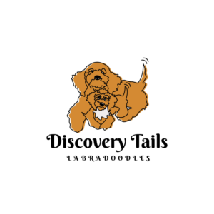 Discovery Tails Labradoodles | Logo Design by Iryna 3