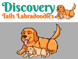 Discovery Tails Labradoodles | Logo Design by Cody Rostron