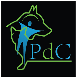 Logo Design by CreativePassion