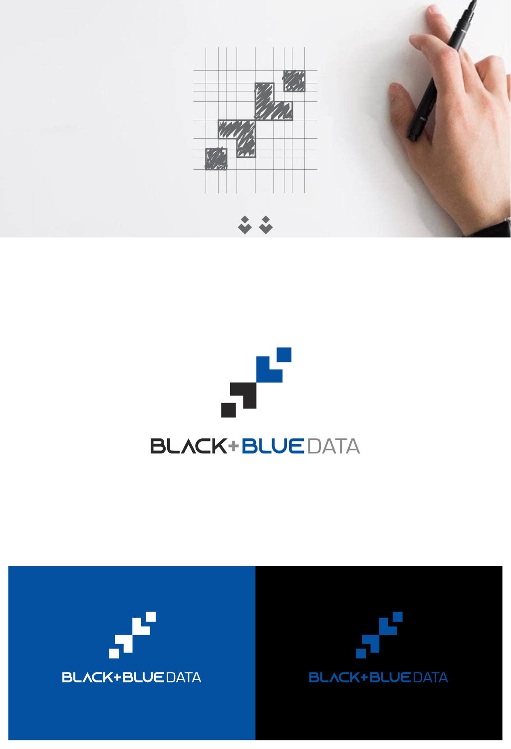 Logo-Design von anonrotide für Holtstat | Design #23053864