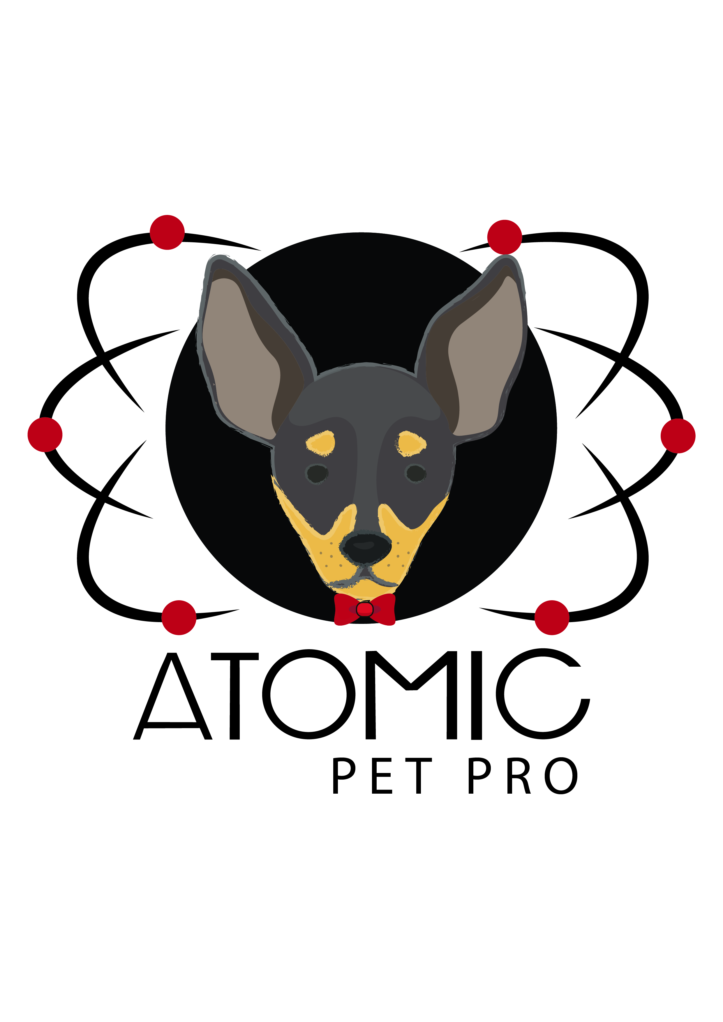 Merchandize Design by alaa 7 for LauraPro | Design #23082852