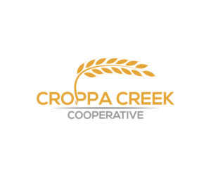 Logo Design by Moon Light