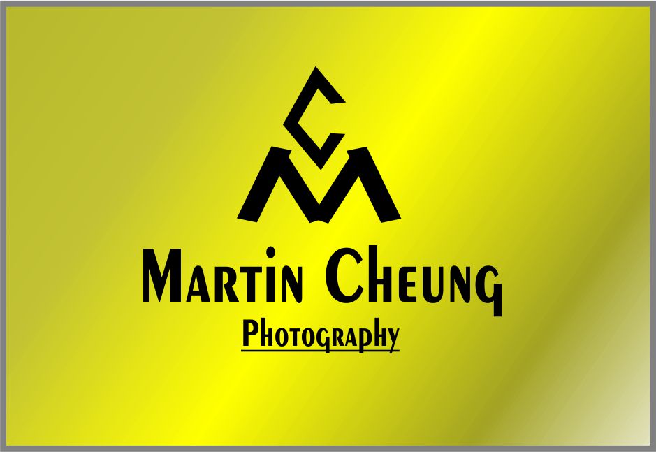 Logo Design by designdream for No Ordinary Media limited | Design #23065381