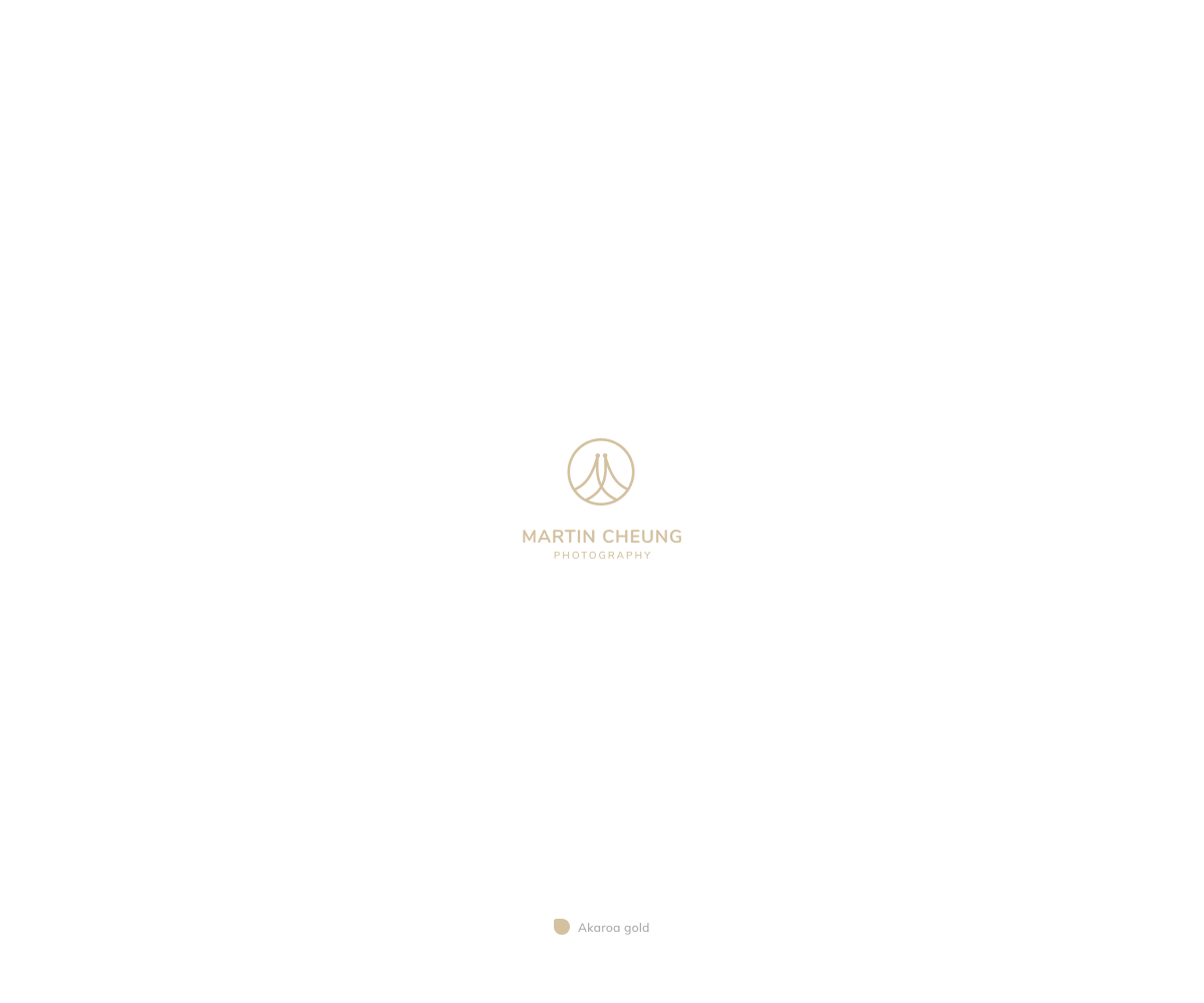 Logo-Design von Cheeky Pinto für No Ordinary Media limited | Design #23064258
