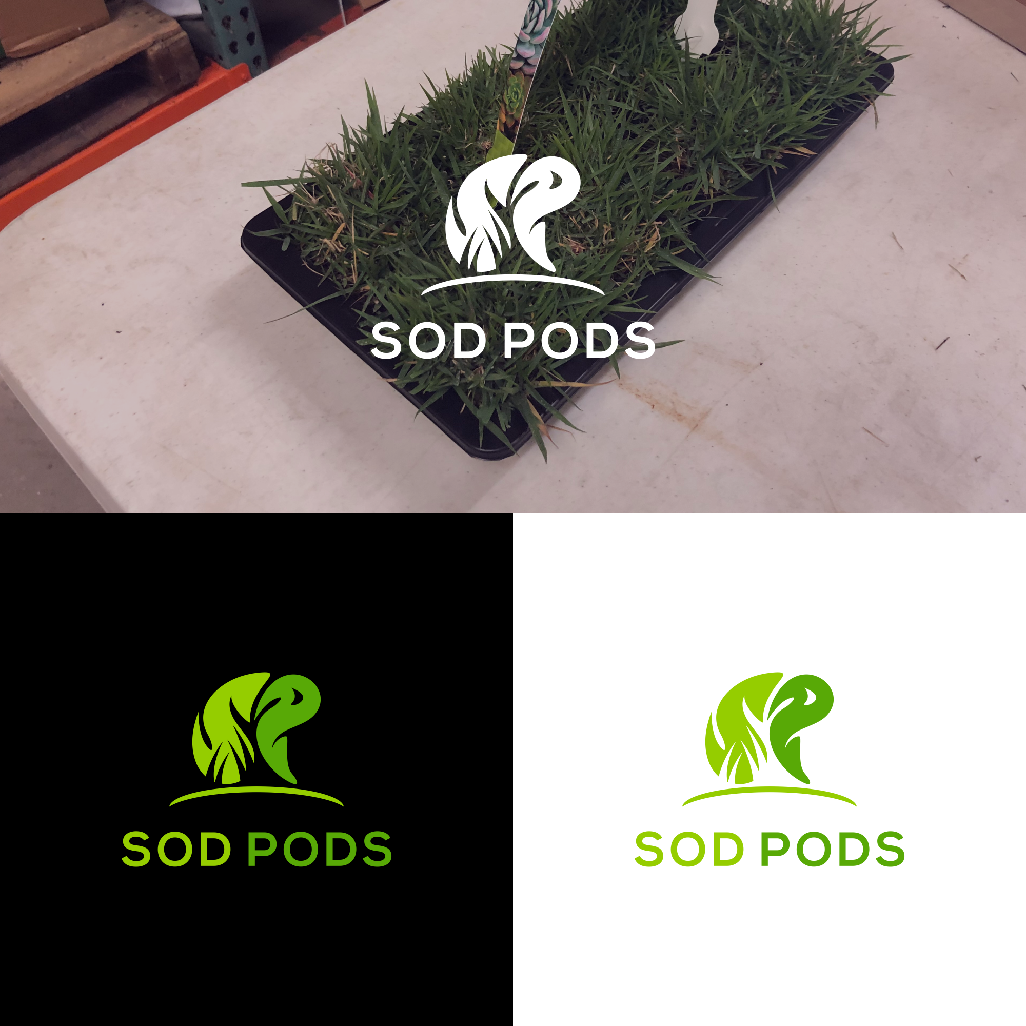 Logo Design by S.I.D for this project | Design #23067179