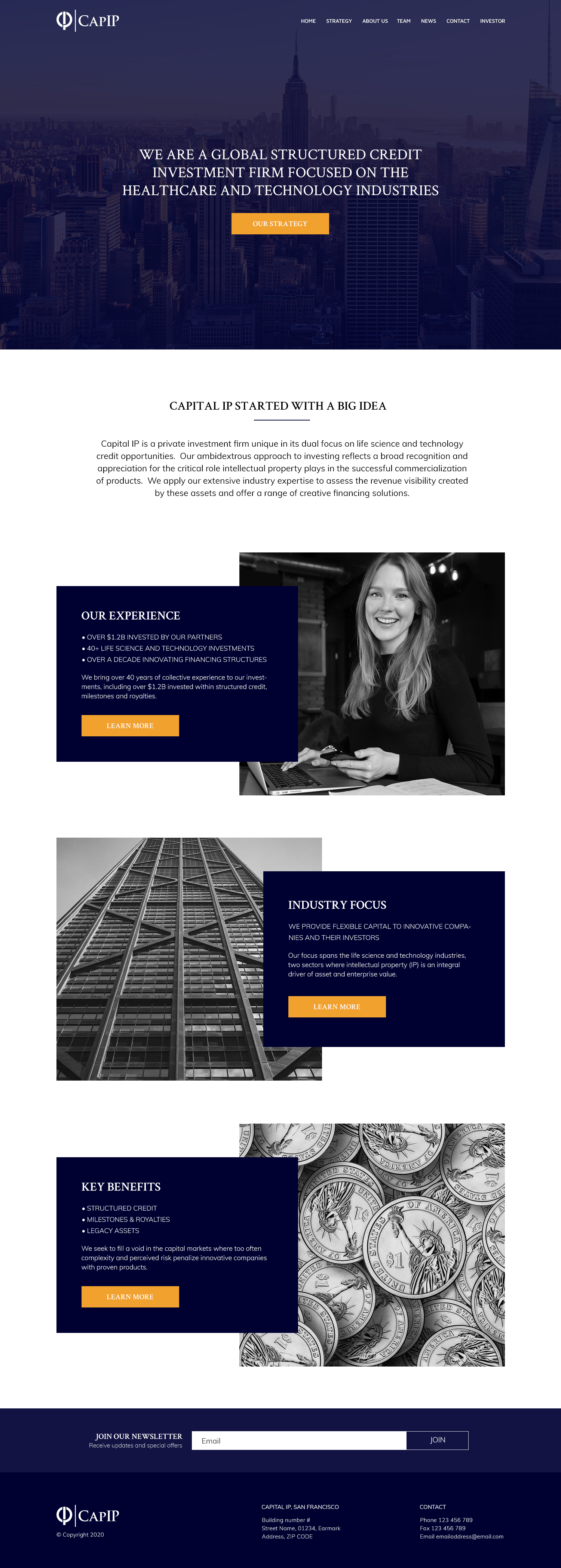 Web Design by Cosmos Studios for Capital IP Investment partners | Design #23470785