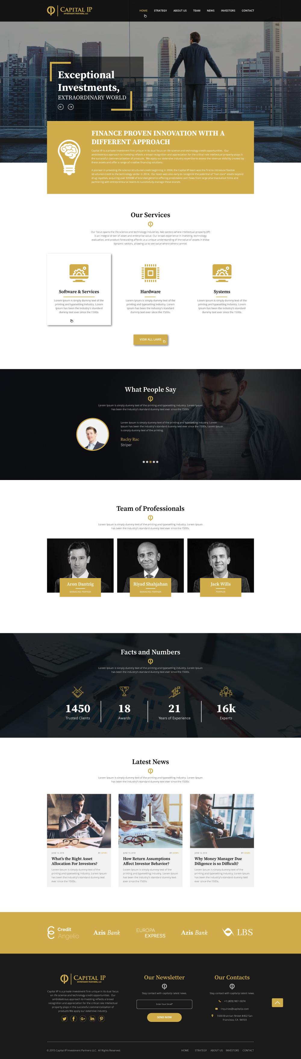 Web Design by Deziners Zone for Capital IP Investment partners | Design #23058756