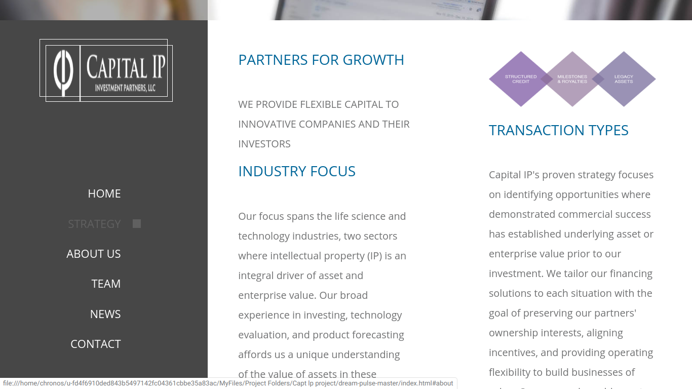 Web-Design von Rico247 für Capital IP Investment partners | Design #23392719