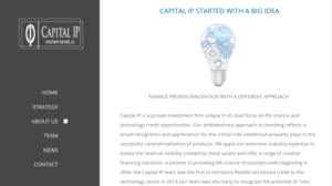 Web Design by Rico247 for Capital IP Investment partners | Design: #23392720