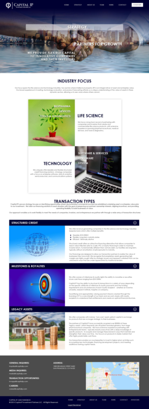 Web Design by Talizmann for Capital IP Investment partners | Design: #23103010