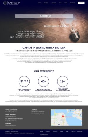 Web Design by Talizmann for Capital IP Investment partners | Design: #23103029