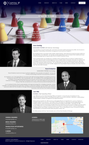 Web Design by Talizmann for Capital IP Investment partners | Design: #23103044