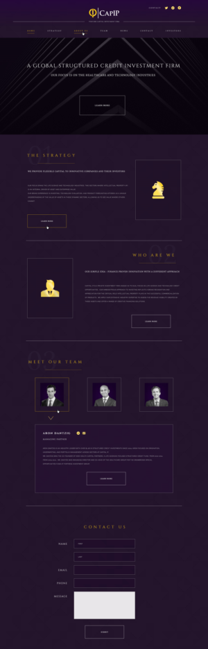 Web Design by Atique Raza