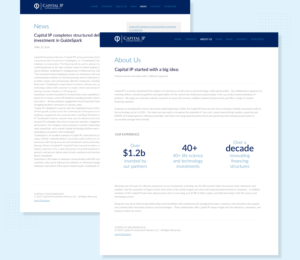 Diseño Web por LizaM para Capital IP Investment partners | Diseño #23373497