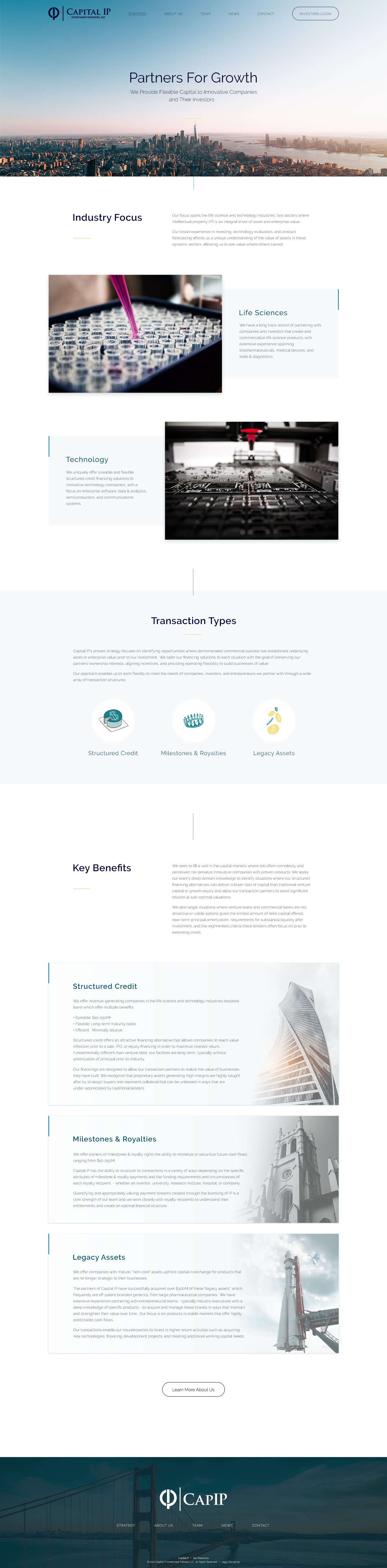 Web-Design von Sol. Design für Capital IP Investment partners | Design #23455346