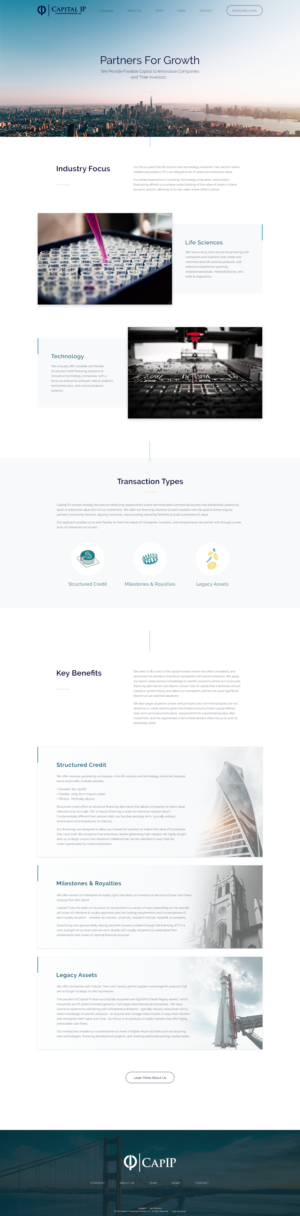 Diseño Web por Sol. Design para Capital IP Investment partners | Diseño #23455346