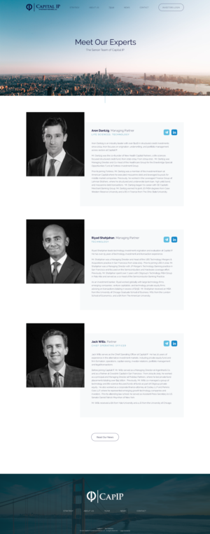 Web Design by Sol. Design for Capital IP Investment partners | Design: #23455350