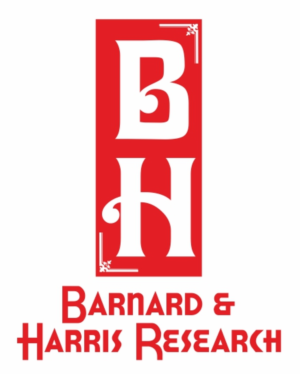 Logo Design by Vedat 3