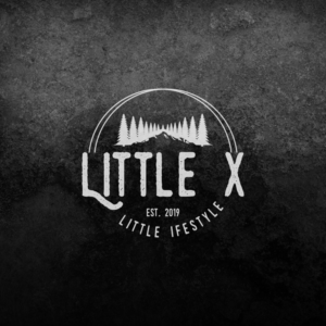 Little x Little Lifestyle | Logo Design by sushsharma99