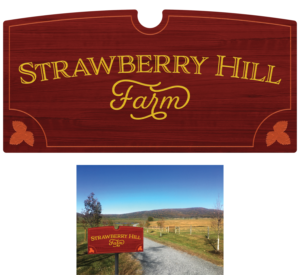 Signage Design by TBVisDesign