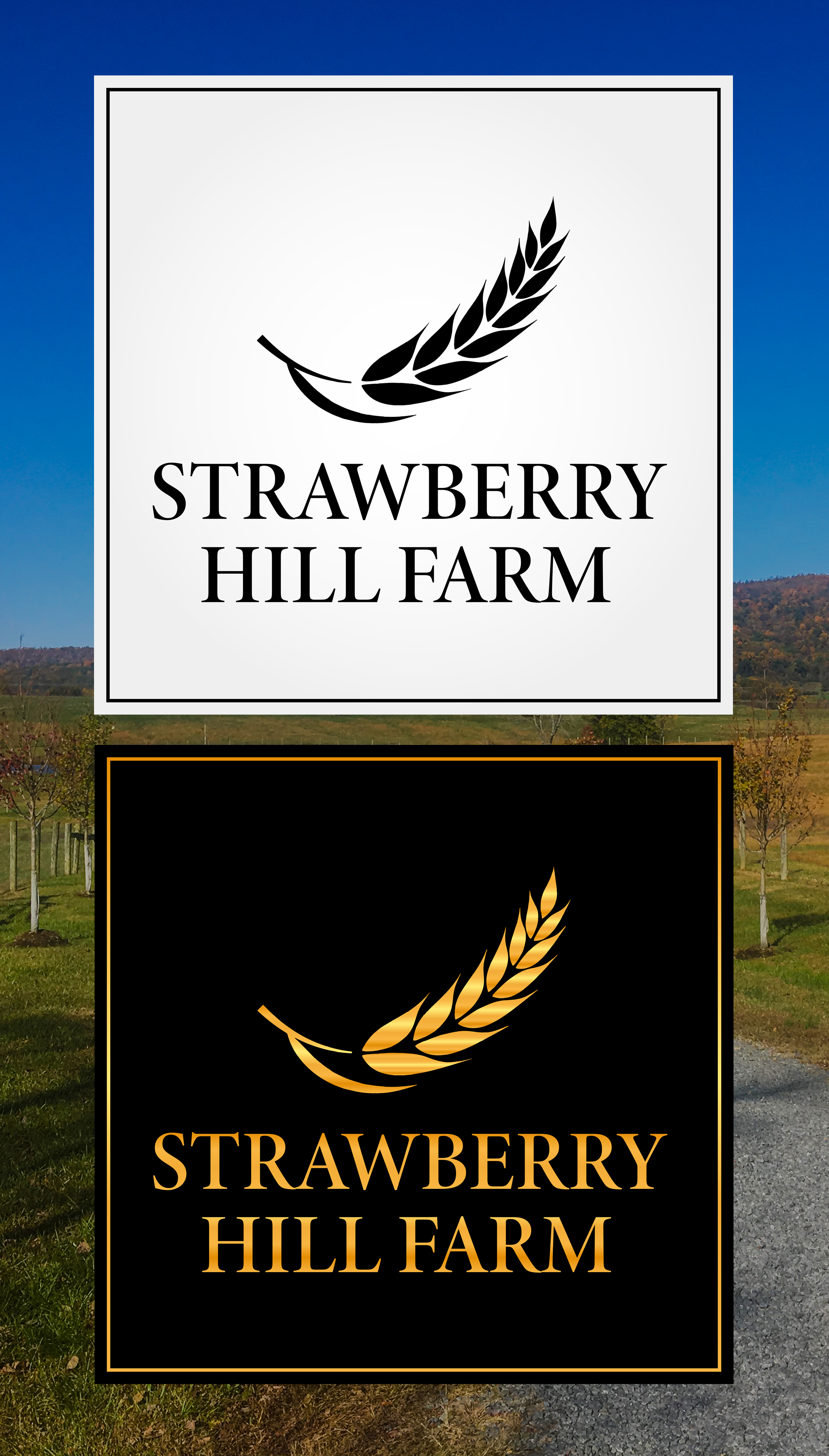 Signage Design by Logozty Design for this project | Design #23109073