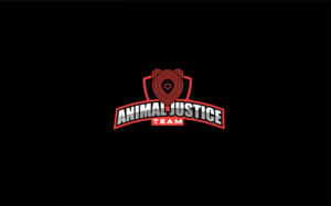 Logo Design by MT