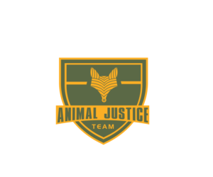 Logo Design by renderman