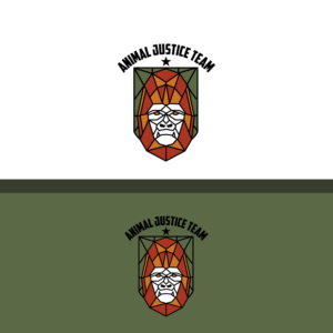 Logo Design by Graphic Bricks