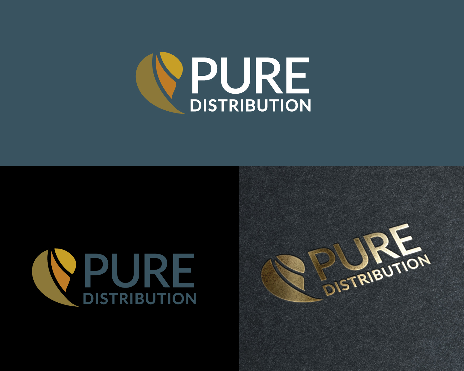 Logo Design by Atec for Proaudio Consulting Srl | Design #23078888