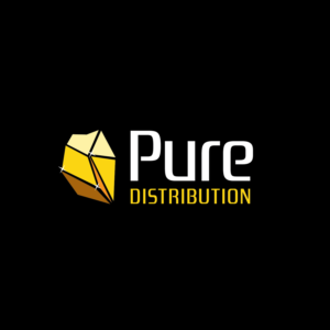 Logo Design by concepts for Proaudio Consulting Srl | Design: #23118419