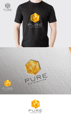 Logo Design by UniqueDreamer for Proaudio Consulting Srl | Design #23082954